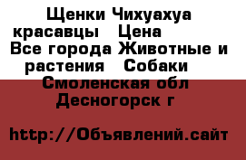 Щенки Чихуахуа красавцы › Цена ­ 9 000 - Все города Животные и растения » Собаки   . Смоленская обл.,Десногорск г.